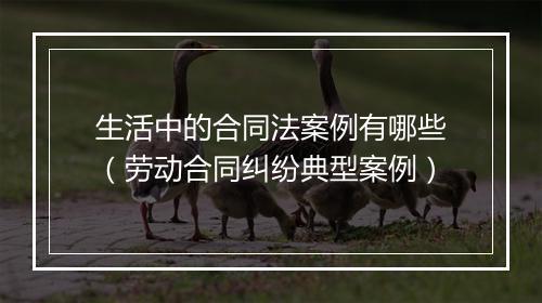 生活中的合同法案例有哪些（劳动合同纠纷典型案例）