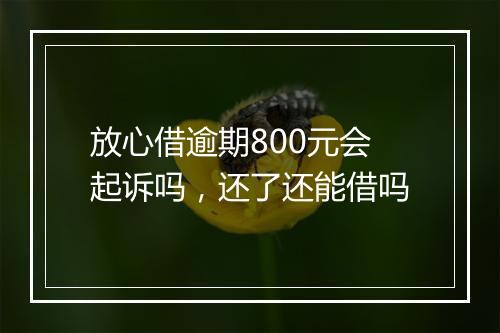 放心借逾期800元会起诉吗，还了还能借吗
