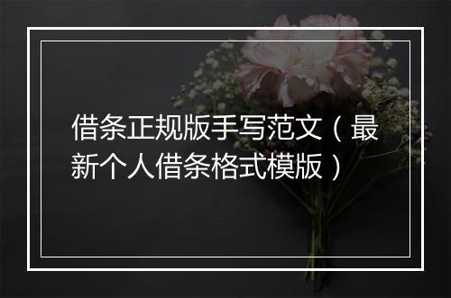 借条正规版手写范文（最新个人借条格式模版）