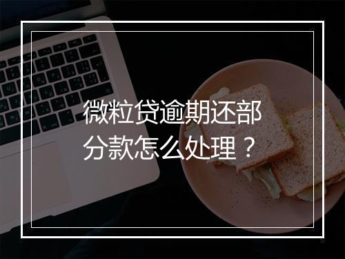 微粒贷逾期还部分款怎么处理？