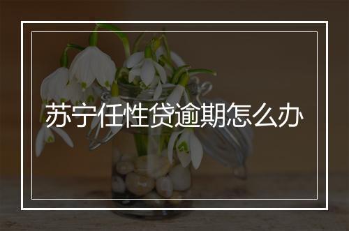 苏宁任性贷逾期怎么办