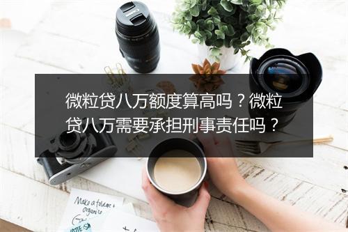 微粒贷八万额度算高吗？微粒贷八万需要承担刑事责任吗？