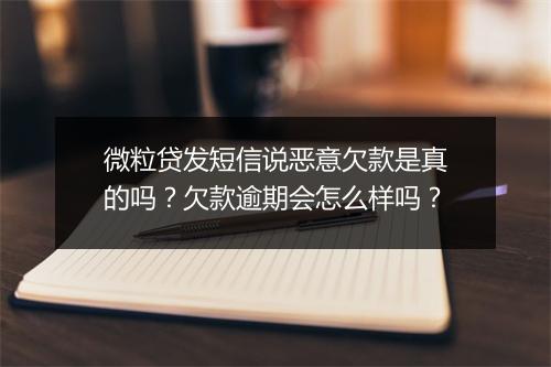 微粒贷发短信说恶意欠款是真的吗？欠款逾期会怎么样吗？