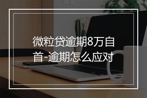 微粒贷逾期8万自首-逾期怎么应对