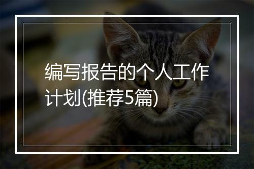编写报告的个人工作计划(推荐5篇)