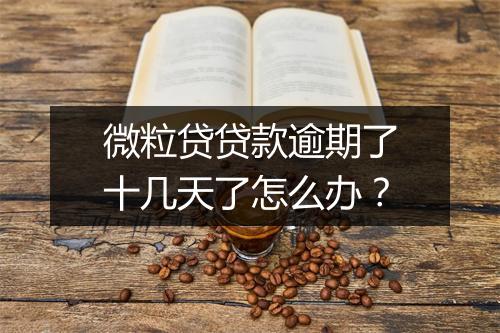微粒贷贷款逾期了十几天了怎么办？