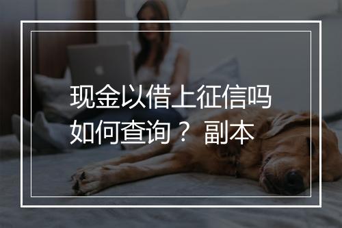 现金以借上征信吗如何查询？ 副本
