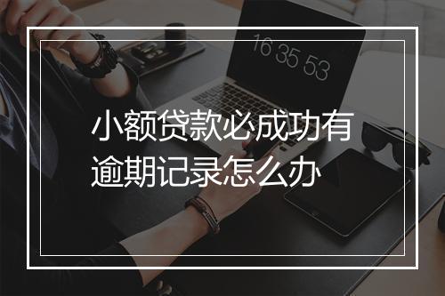 小额贷款必成功有逾期记录怎么办