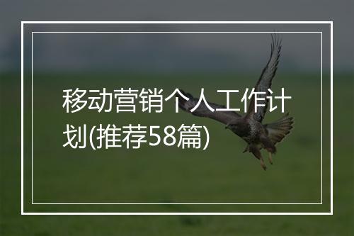移动营销个人工作计划(推荐58篇)