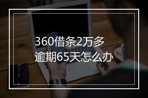 360借条2万多逾期65天怎么办