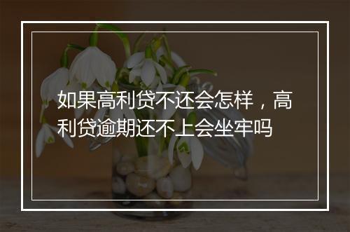 如果高利贷不还会怎样，高利贷逾期还不上会坐牢吗