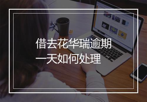 借去花华瑞逾期一天如何处理