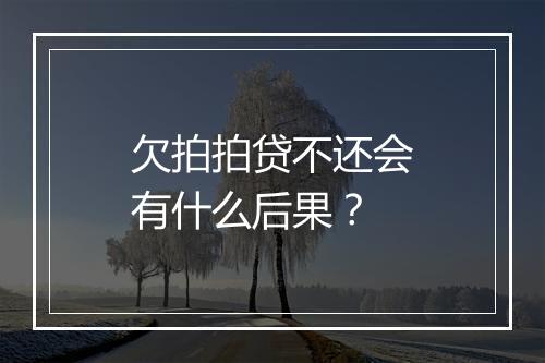 欠拍拍贷不还会有什么后果？