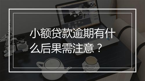 小额贷款逾期有什么后果需注意？