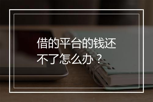 借的平台的钱还不了怎么办？
