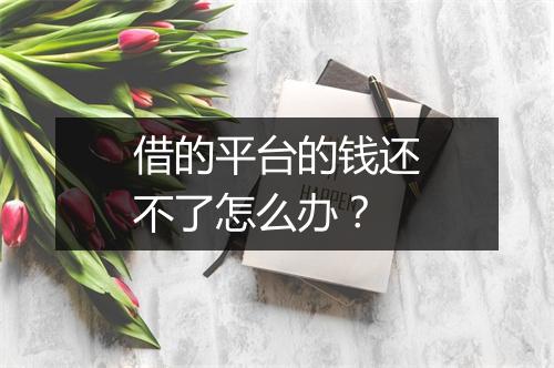 借的平台的钱还不了怎么办？