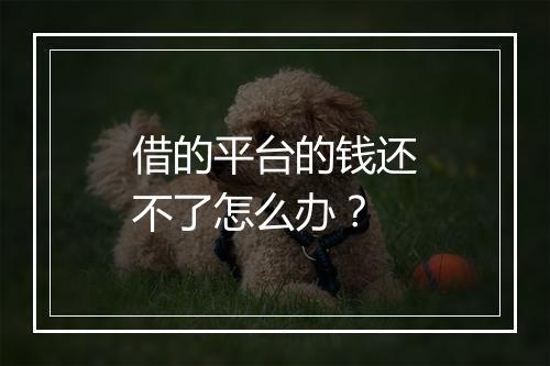 借的平台的钱还不了怎么办？