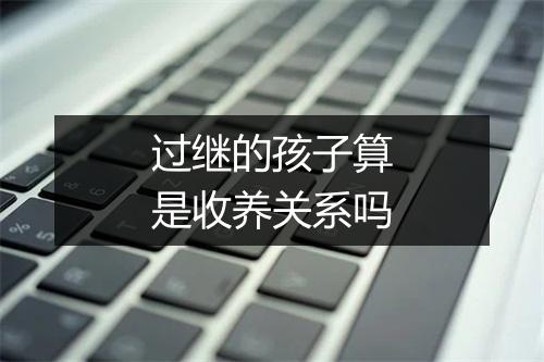 过继的孩子算是收养关系吗