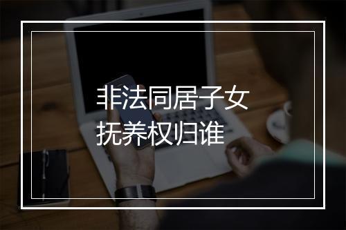 非法同居子女抚养权归谁