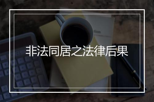 非法同居之法律后果