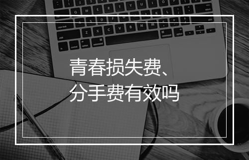 青春损失费、分手费有效吗