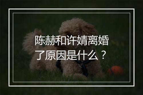 陈赫和许婧离婚了原因是什么？