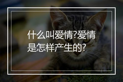 什么叫爱情?爱情是怎样产生的?