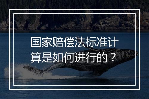 国家赔偿法标准计算是如何进行的？