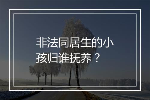非法同居生的小孩归谁抚养？