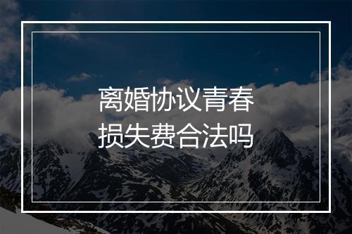 离婚协议青春损失费合法吗