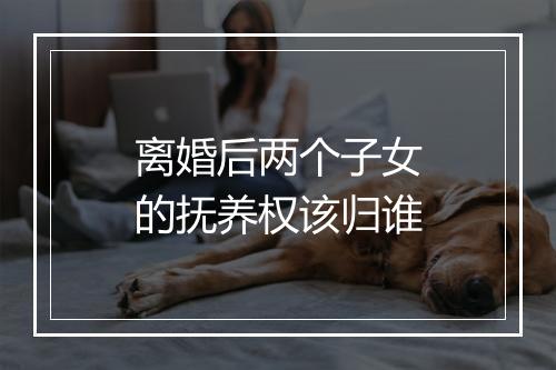 离婚后两个子女的抚养权该归谁