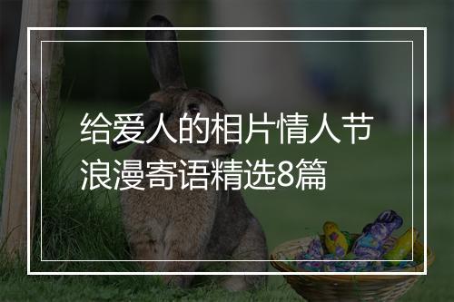 给爱人的相片情人节浪漫寄语精选8篇