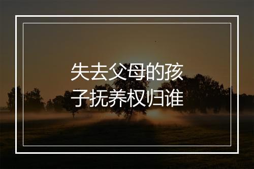 失去父母的孩子抚养权归谁