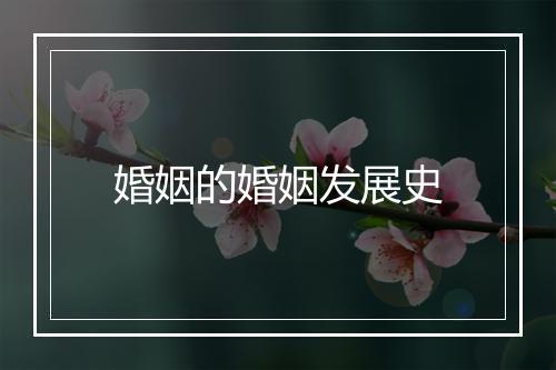 婚姻的婚姻发展史