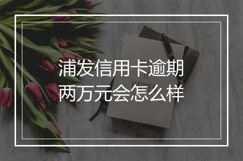 浦发信用卡逾期两万元会怎么样