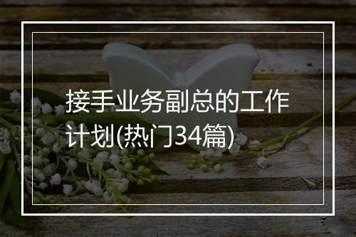 接手业务副总的工作计划(热门34篇)