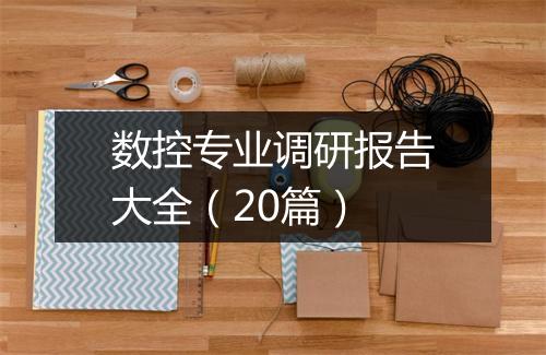 数控专业调研报告大全（20篇）