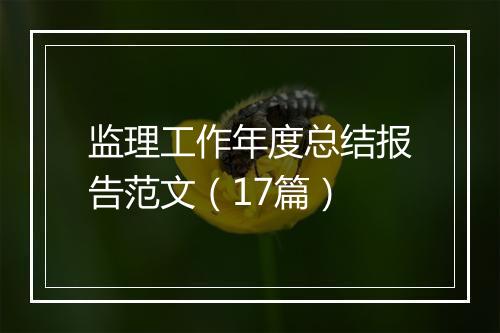 监理工作年度总结报告范文（17篇）