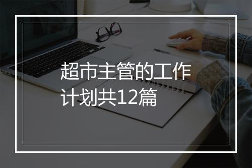 超市主管的工作计划共12篇