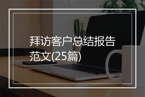 拜访客户总结报告范文(25篇)