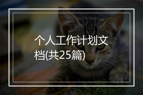 个人工作计划文档(共25篇)
