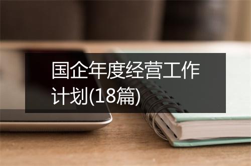 国企年度经营工作计划(18篇)