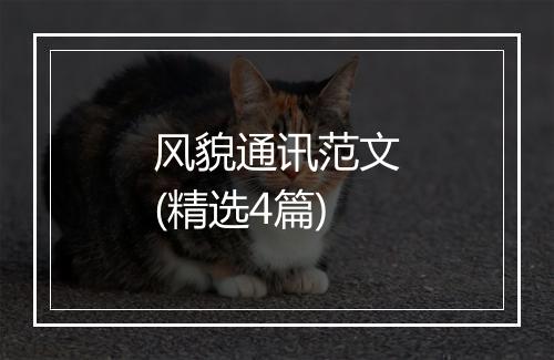 风貌通讯范文(精选4篇)