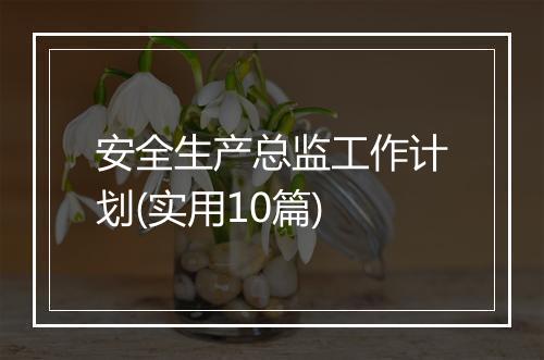 安全生产总监工作计划(实用10篇)