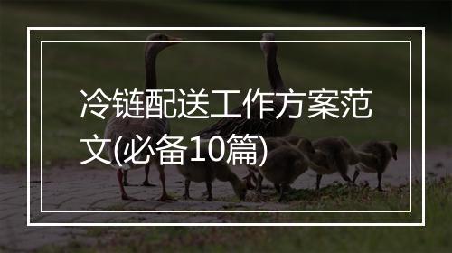 冷链配送工作方案范文(必备10篇)