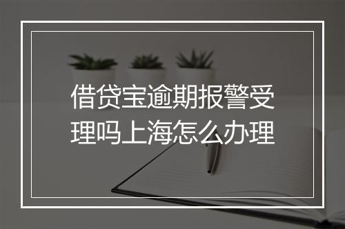 借贷宝逾期报警受理吗上海怎么办理