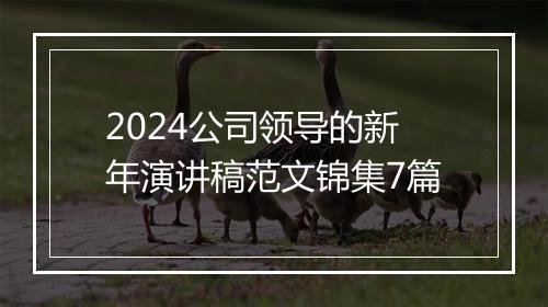 2024公司领导的新年演讲稿范文锦集7篇