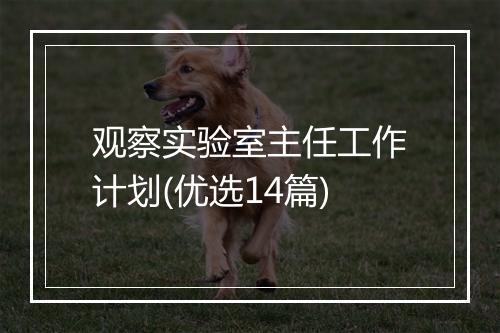 观察实验室主任工作计划(优选14篇)
