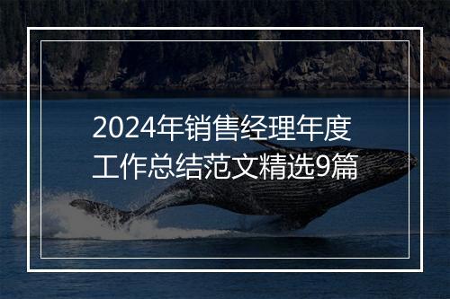 2024年销售经理年度工作总结范文精选9篇