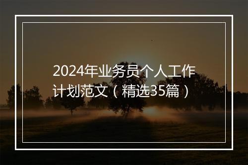 2024年业务员个人工作计划范文（精选35篇）